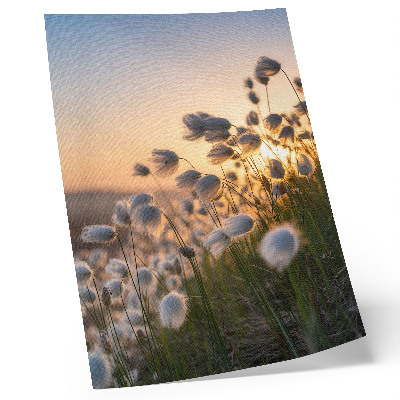 Poster para cozinha Grama ao pôr do sol, cores quentes, naturalidade.