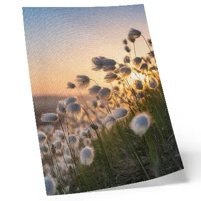 Póster para cozinha relvado ao pôr do sol com cores quentes e aspeto natural