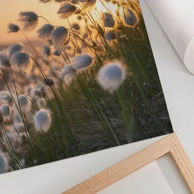 Póster para cozinha relvado ao pôr do sol com cores quentes e aspeto natural