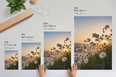 Póster para cozinha relvado ao pôr do sol com cores quentes e aspeto natural