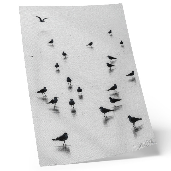 Impressão em tela Pássaros sobre a água, reflexos sutis, minimalismo
