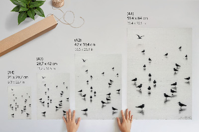 Impressão em tela Pássaros sobre a água, reflexos sutis, minimalismo