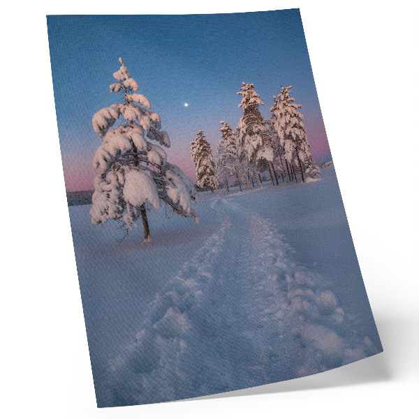 Arte de parede Paisagem de inverno com árvores cobertas de neve e a lua.