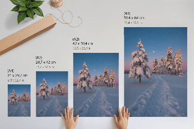 Arte de parede Paisagem de inverno com árvores cobertas de neve e a lua.