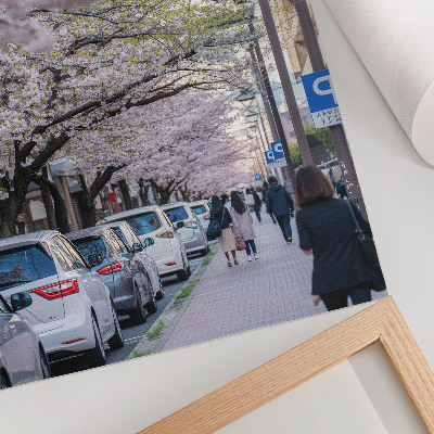 Arte de parede Uma rua com flores de cerejeira e carros estacionados.