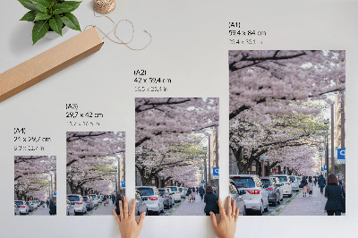 Arte de parede Uma rua com flores de cerejeira e carros estacionados.