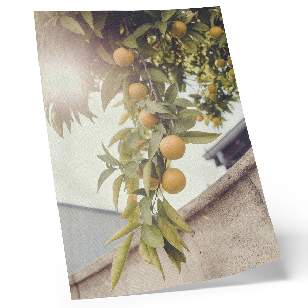 Poster decorativo galho de árvore sol folhas verdes laranja