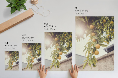Poster decorativo galho de árvore sol folhas verdes laranja