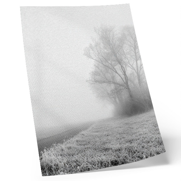 Poster decorativo Névoa sutil, árvores, paisagem de inverno, atmosfera tranquila.