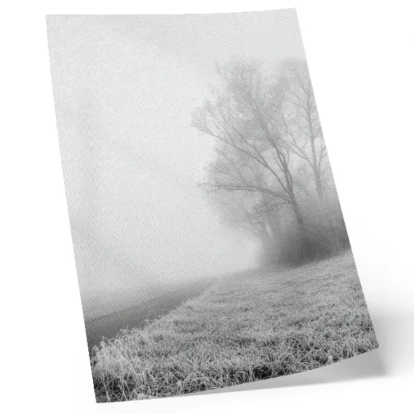 Poster decorativo névoa sutil com árvores em uma paisagem de inverno com atmosfera tranquila