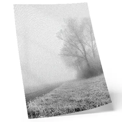 Poster decorativo névoa sutil com árvores em uma paisagem de inverno com atmosfera tranquila