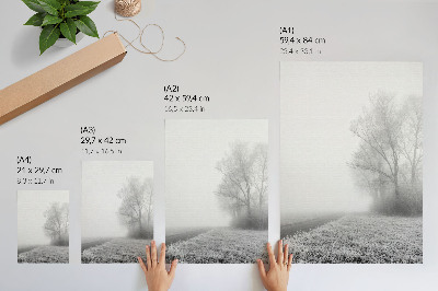 Poster decorativo Névoa sutil, árvores, paisagem de inverno, atmosfera tranquila.