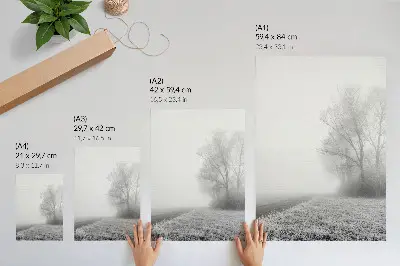 Poster decorativo névoa sutil com árvores em uma paisagem de inverno com atmosfera tranquila