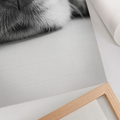 Poster para cozinha Close-up de um cachorro em preto e branco com textura minimalista