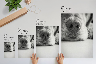 Poster para cozinha Close-up de um cachorro em preto e branco com textura minimalista