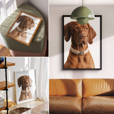 Poster decorativo Colar elegante para cães com acabamento luxuoso.
