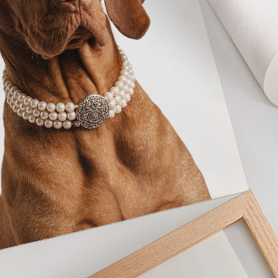 Poster decorativo Colar elegante para cães com acabamento luxuoso.