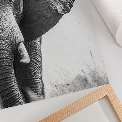 Pôster decorativo ambiente monocromático com couro enrugado e elegância