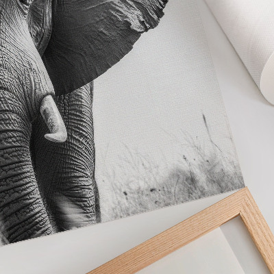 Poster decorativo Ambiente monocromático, couro enrugado, elegância