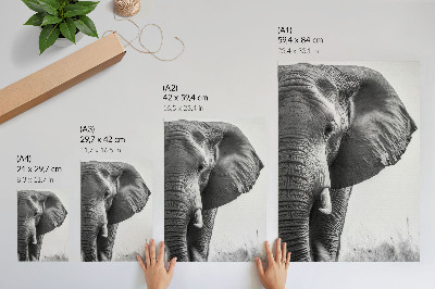 Poster decorativo Ambiente monocromático, couro enrugado, elegância