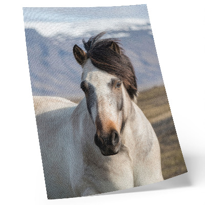 Arte de parede A beleza natural de um cavalo tendo como pano de fundo as montanhas, tranquilidade, simplicidade.