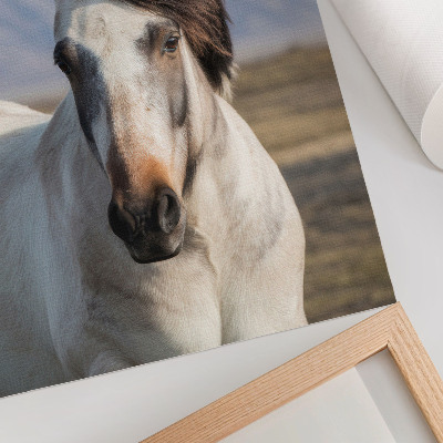 Arte de parede A beleza natural de um cavalo tendo como pano de fundo as montanhas, tranquilidade, simplicidade.