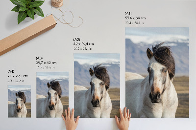 Arte de parede A beleza natural de um cavalo tendo como pano de fundo as montanhas, tranquilidade, simplicidade.