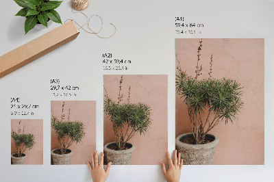 Impressão em tela Planta verde contra um fundo de parede cor de pêssego.