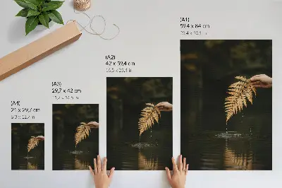 Arte de parede samambaia sobre a água com gotas harmoniosas e reflexo