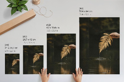 Arte de parede Samambaia sobre a água, gotas harmoniosas, reflexo