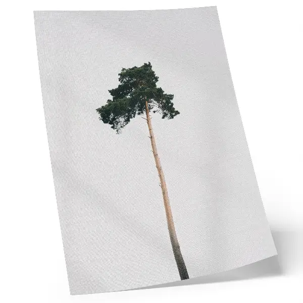Poster para cozinha de uma árvore solitária em fundo claro minimalista