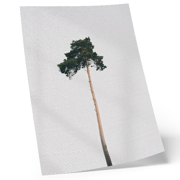 Poster para cozinha Uma árvore solitária em um fundo claro com minimalismo.