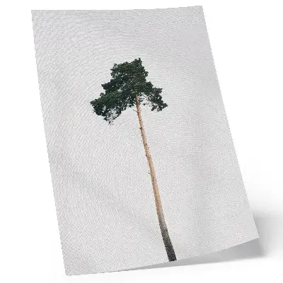 Poster para cozinha de uma árvore solitária em fundo claro minimalista