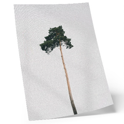 Poster para cozinha Uma árvore solitária em um fundo claro com minimalismo.