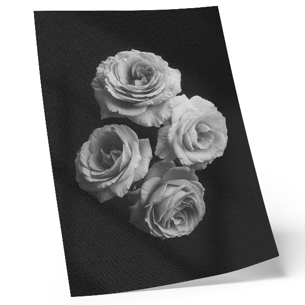 Poster para cozinha Rosas pretas e brancas, minimalismo, elegância clássica