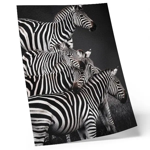 Poster para cozinha estampa de zebra com linhas verticais contrastantes em preto e branco
