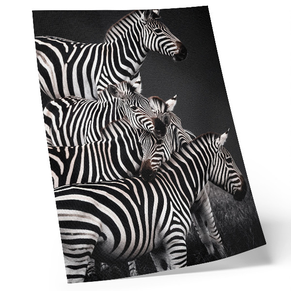 Poster para cozinha Zebra com linhas verticais contrastantes em preto e branco
