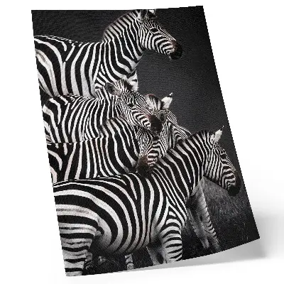 Poster para cozinha estampa de zebra com linhas verticais contrastantes em preto e branco