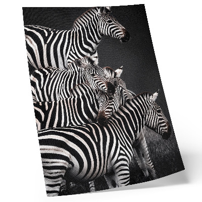 Poster para cozinha Zebra com linhas verticais contrastantes em preto e branco
