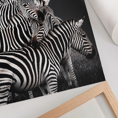 Poster para cozinha Zebra com linhas verticais contrastantes em preto e branco
