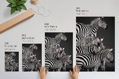 Poster para cozinha Zebra com linhas verticais contrastantes em preto e branco