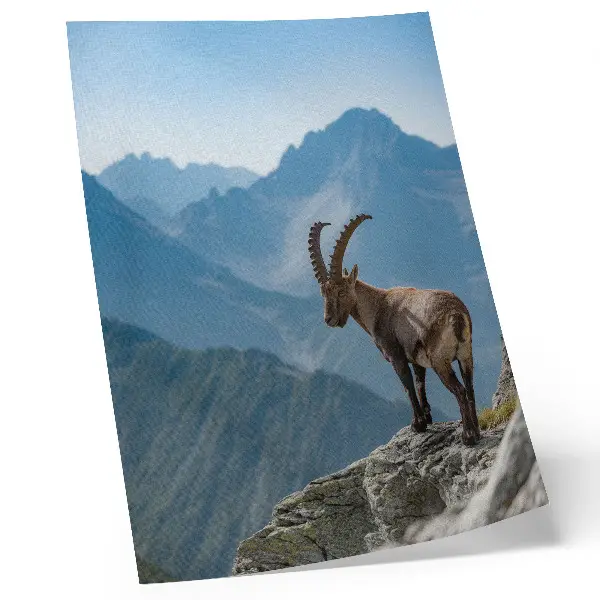 Impressão em tela capricórnio em meio às montanhas, trazendo paz e harmonia da natureza