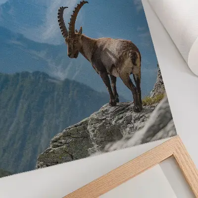 Impressão em tela capricórnio em meio às montanhas, trazendo paz e harmonia da natureza