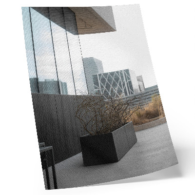 Poster decorativo Edifícios modernos e galhos secos