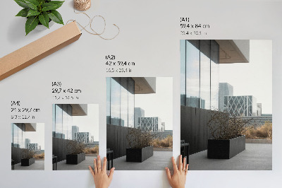 Poster decorativo Edifícios modernos e galhos secos