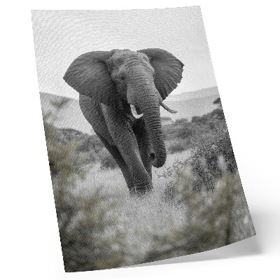 Poster para cozinha Um grande elefante em um cenário natural.
