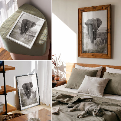 Poster para cozinha Um grande elefante em um cenário natural.