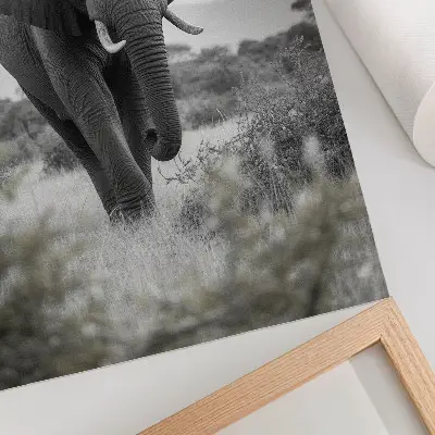 Poster para cozinha com um grande elefante em cenário natural
