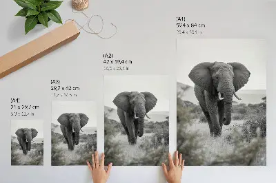 Poster para cozinha com um grande elefante em cenário natural