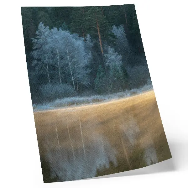 Impressão em tela uma floresta tranquila sobre a superfície da água com uma aura mística